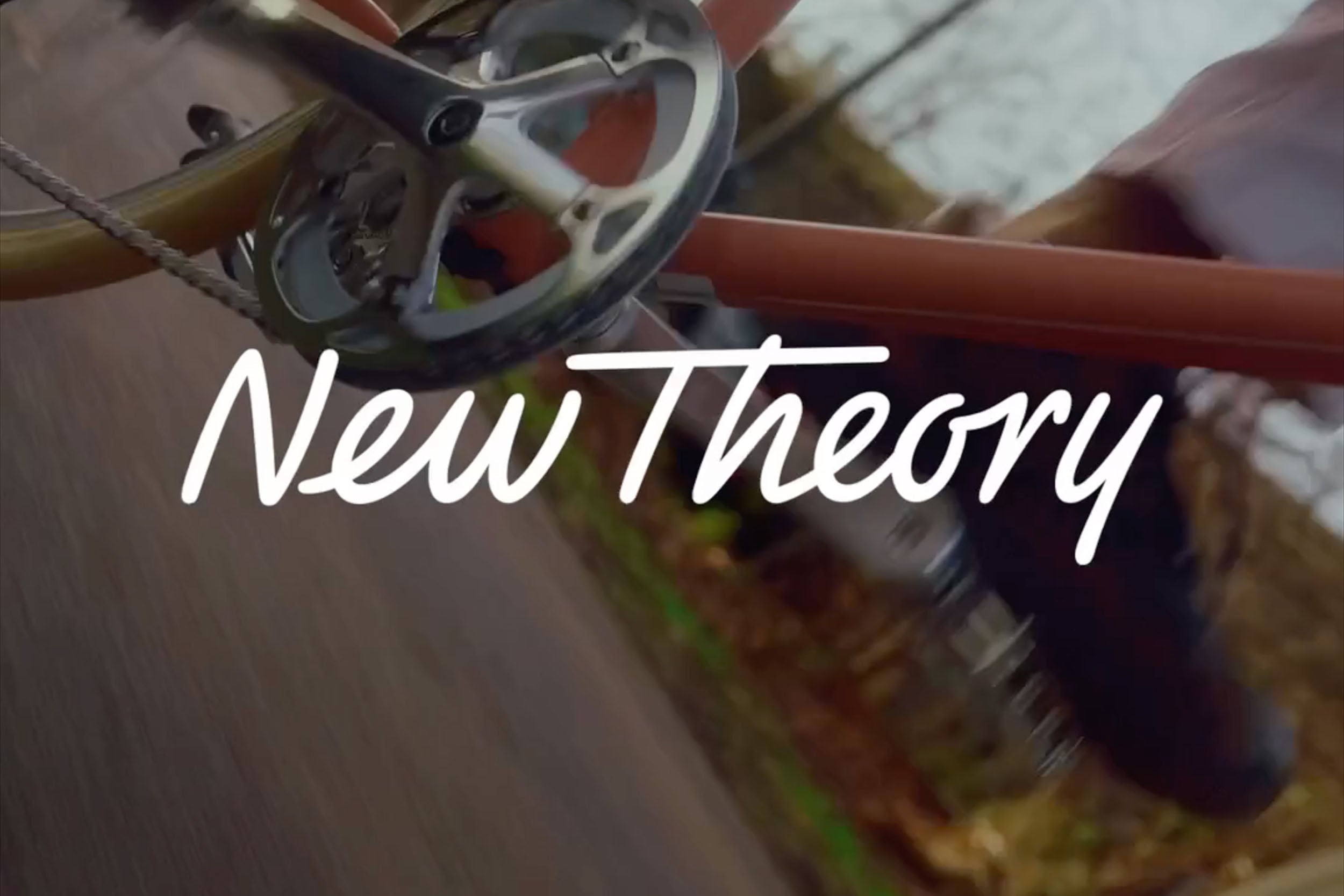 tokyobike x New Theory