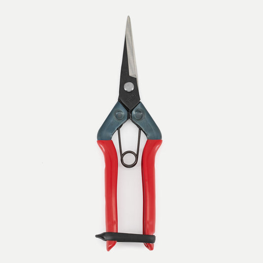 Garden Snips