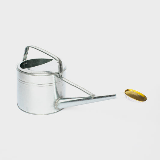 Galvanised Watering Can