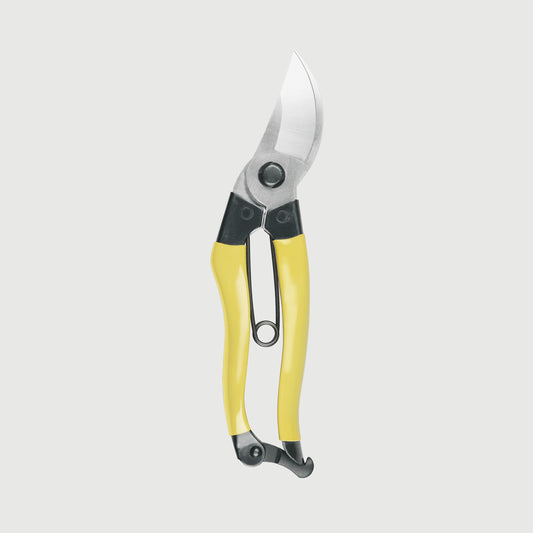 Mainichi Secateurs