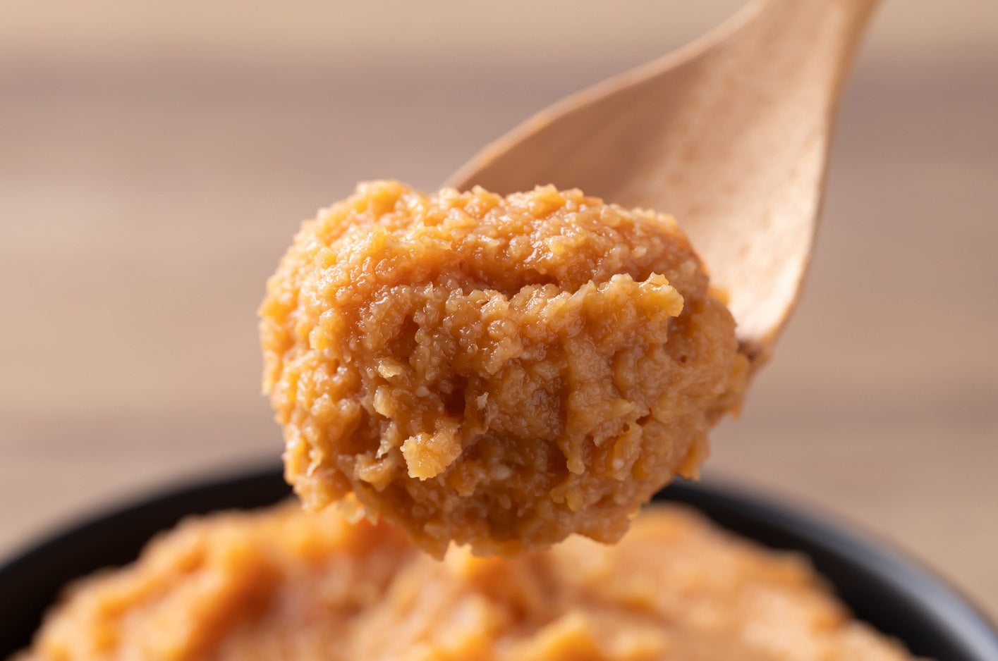 Miso-Making Workshop & Recipes