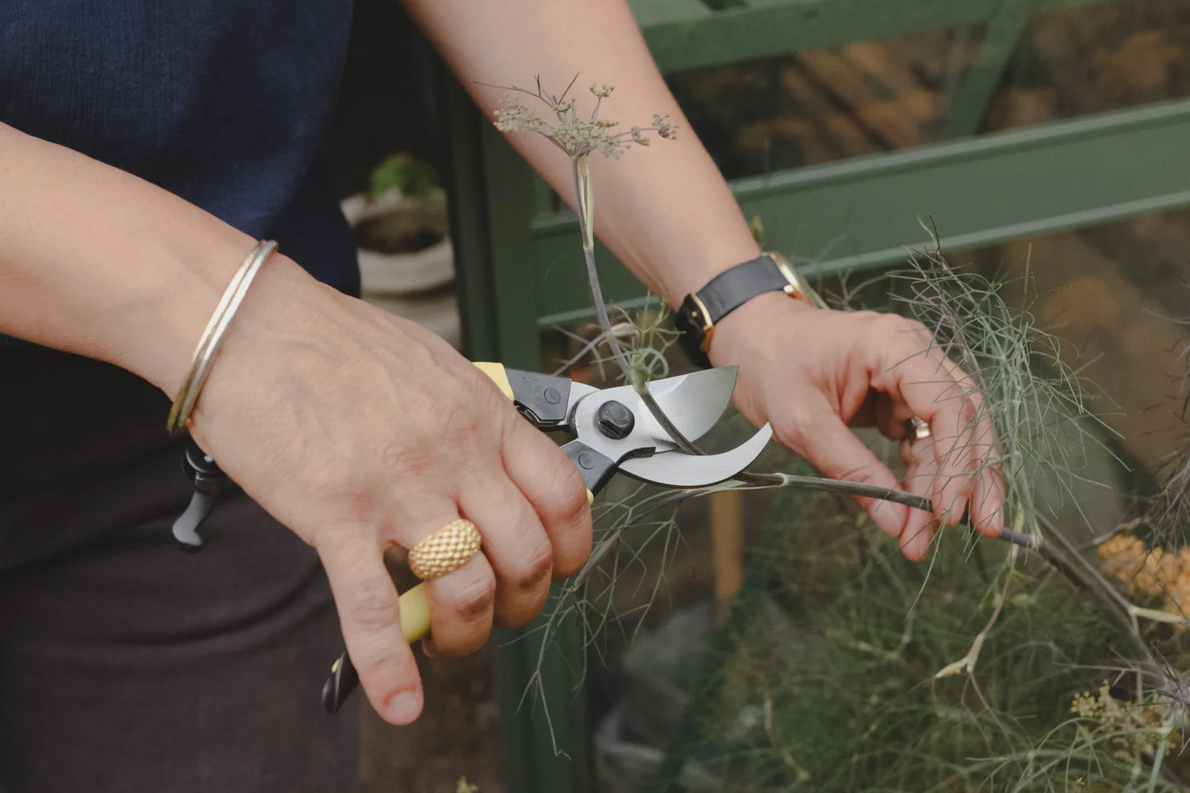 A Season for Growing