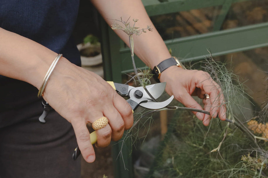 A Season for Growing