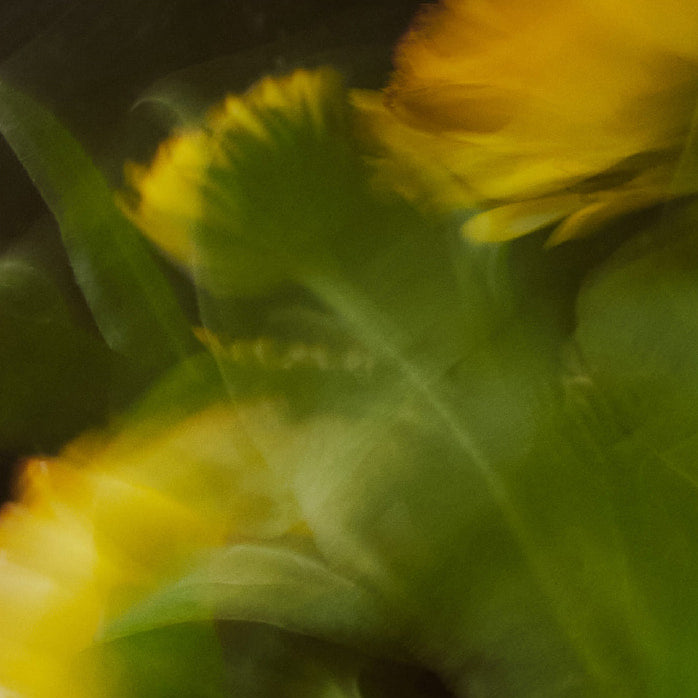 Gift Guide: Japanese Scent