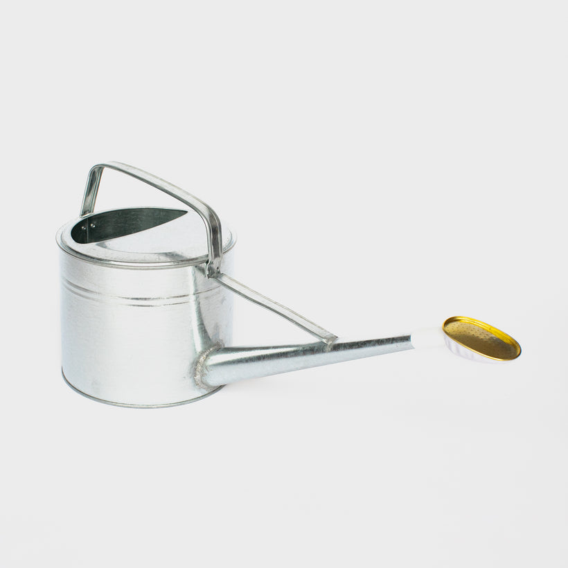 Galvanised Watering Can