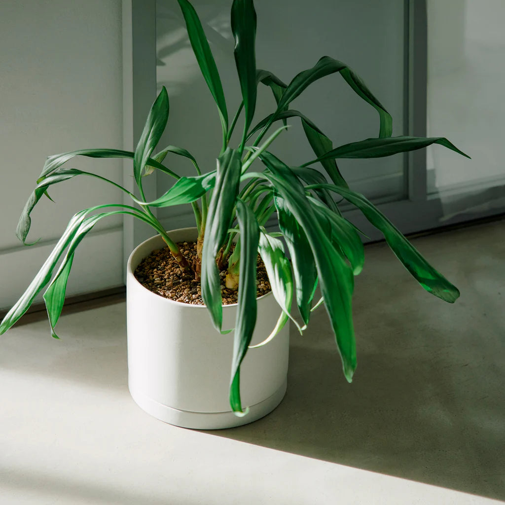 kinto plant pot Plant Pot 191 – tokyobike London