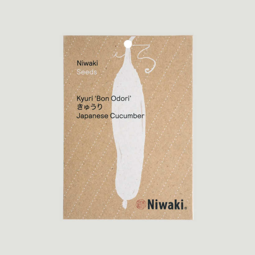 Kyuri ‘Bon Odori’ Seeds (Japanese Cucumber)