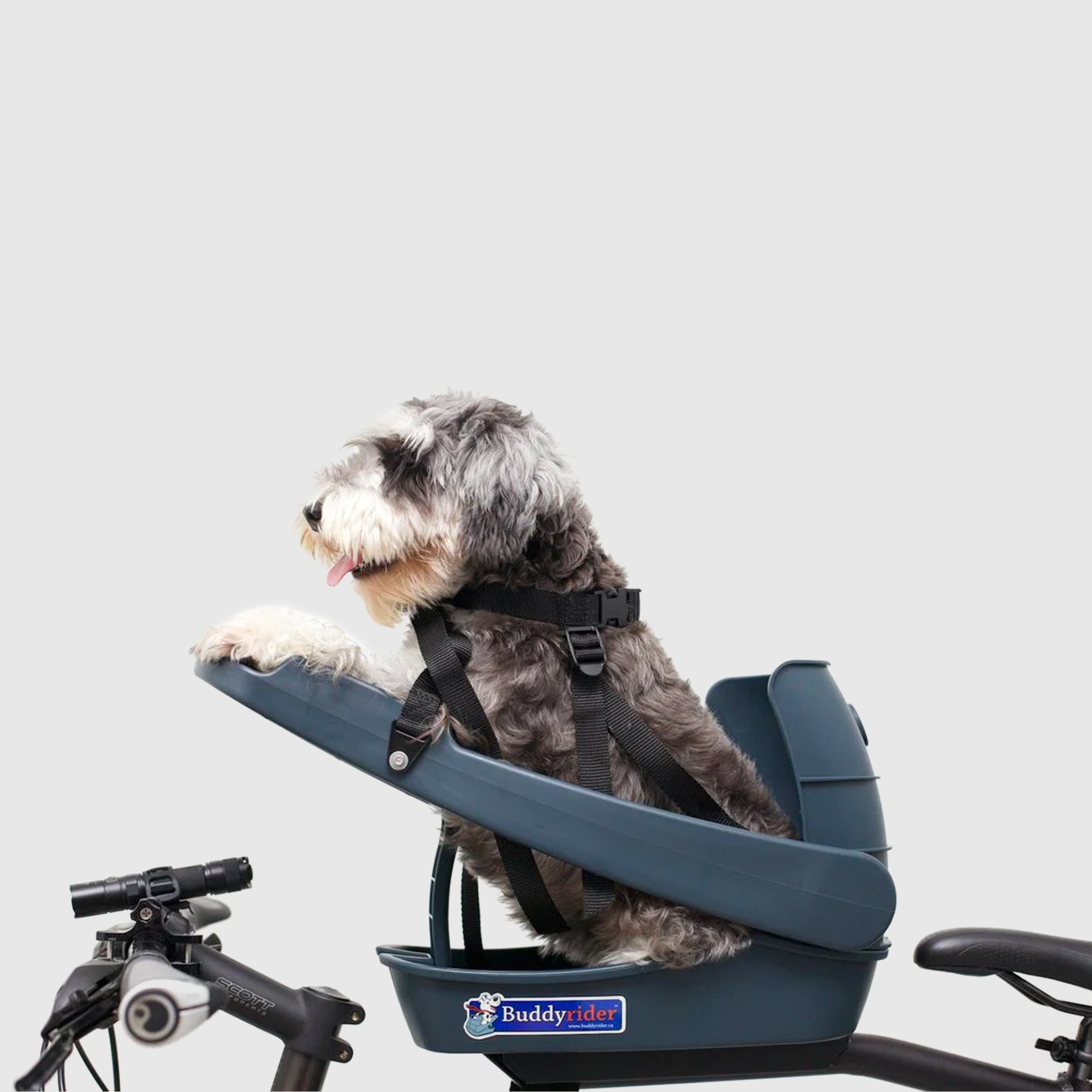 Dog bike seat front sale