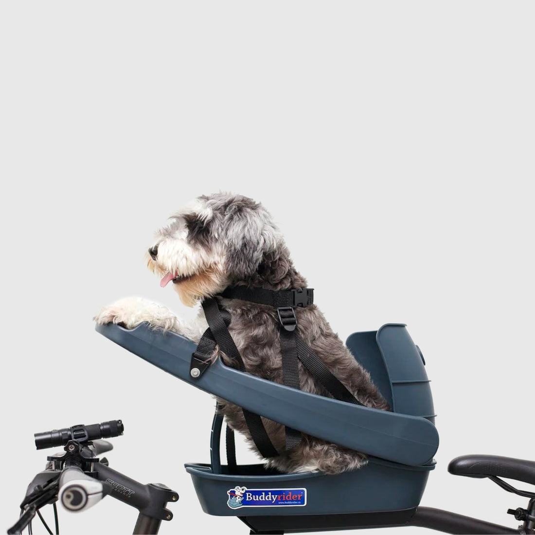 Buddy Rider - dog carrier – tokyobike London
