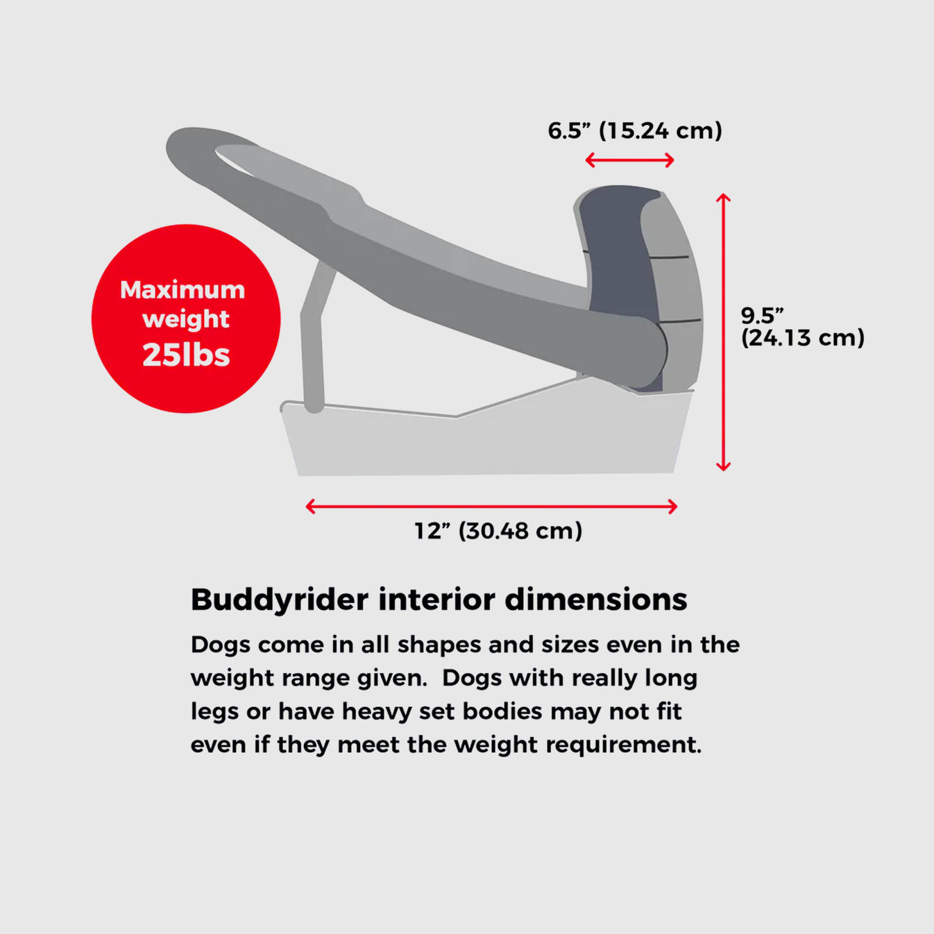 Buddy Rider dog carrier tokyobike London